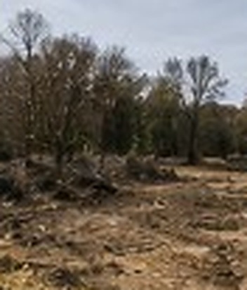 Land Development before