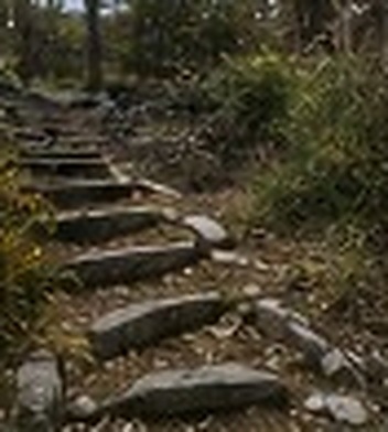 Landscaping & Hardscaping before