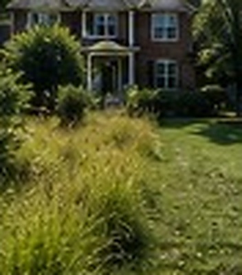 Property Maintenance before