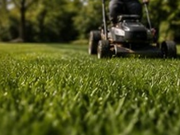 Property maintenance and care