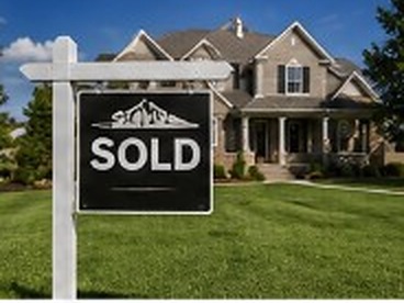 Real Estate Services