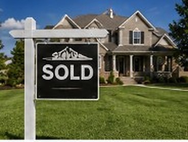 Real Estate Services