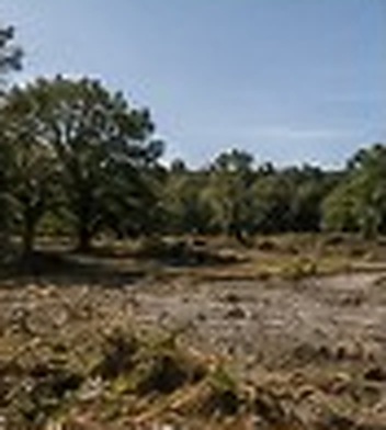 Site Preparation before